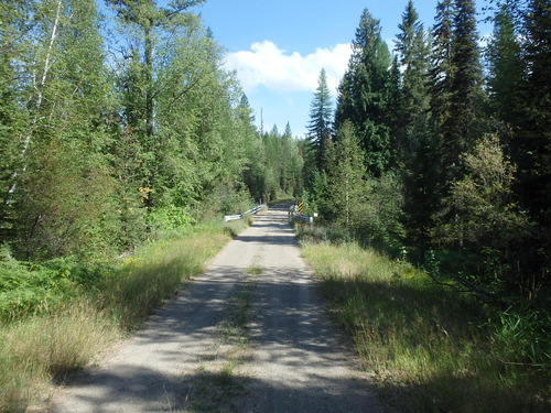 GDMBR: Logging Road NF-9991 (abeam Condon, MT).